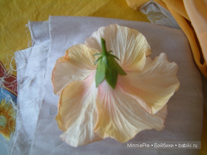 Наш цветочек для цветочка. Часть первая подготовительная (фото 3)