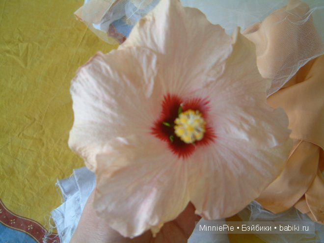 Наш цветочек для цветочка. Часть первая подготовительная (фото 2)