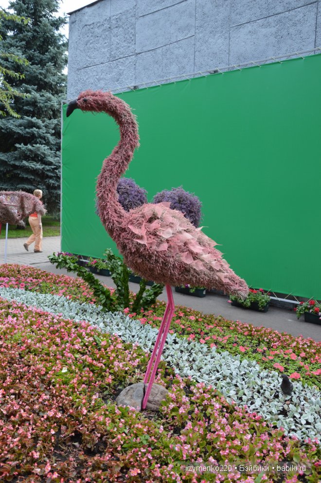 Принцесса приглашает на выставку цветов в городе Омске "Флора-2014" (фото 8)
