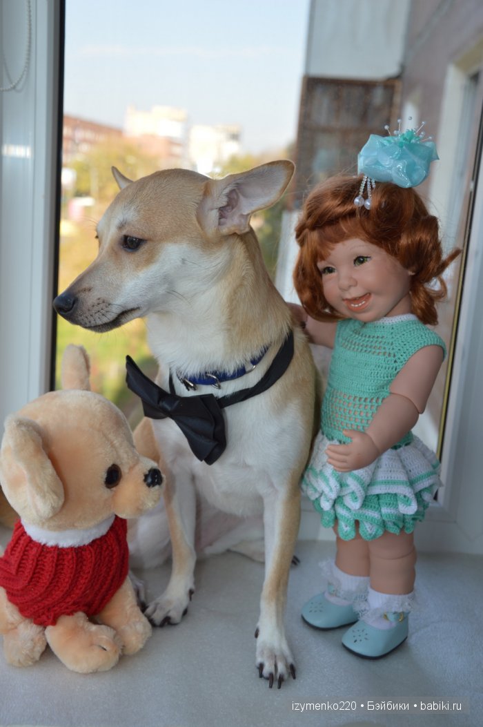 У меня живет щенок — Домашние коллекции кукол: фото собраний