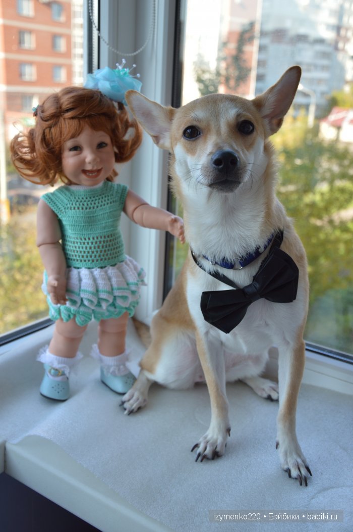 У меня живет щенок — Домашние коллекции кукол: фото собраний (фото 9)