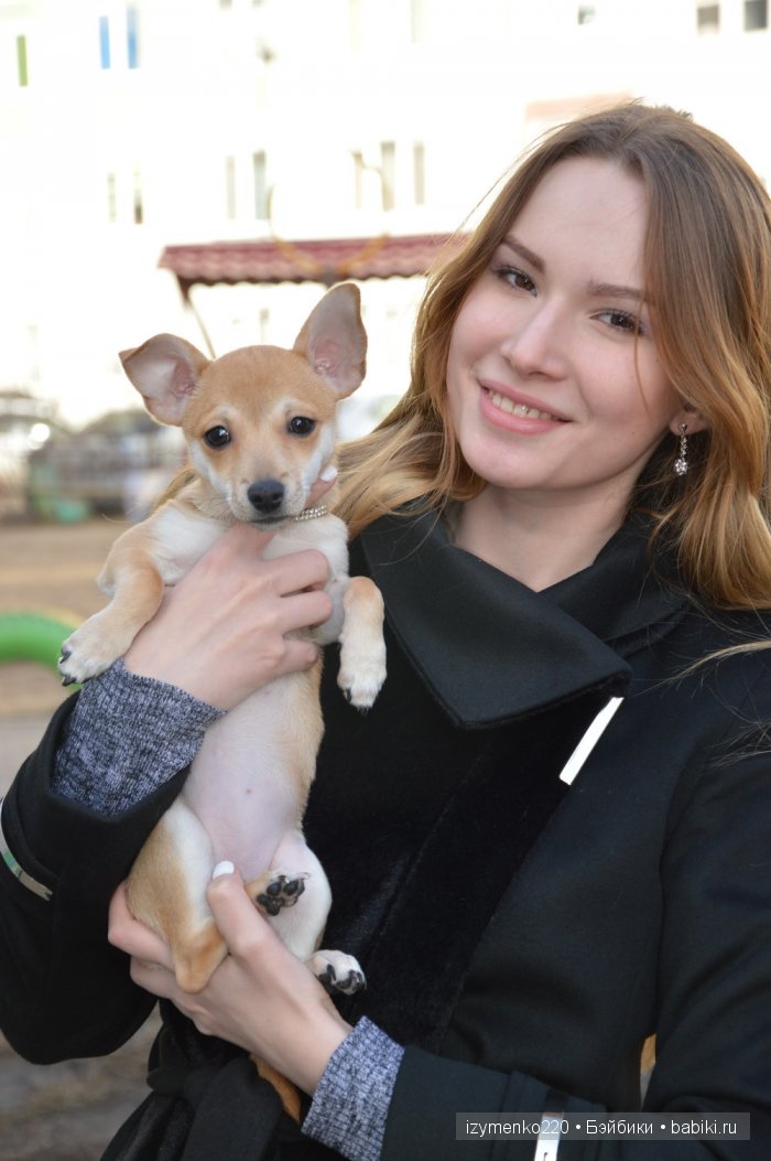 У меня живет щенок — Домашние коллекции кукол: фото собраний (фото 3)