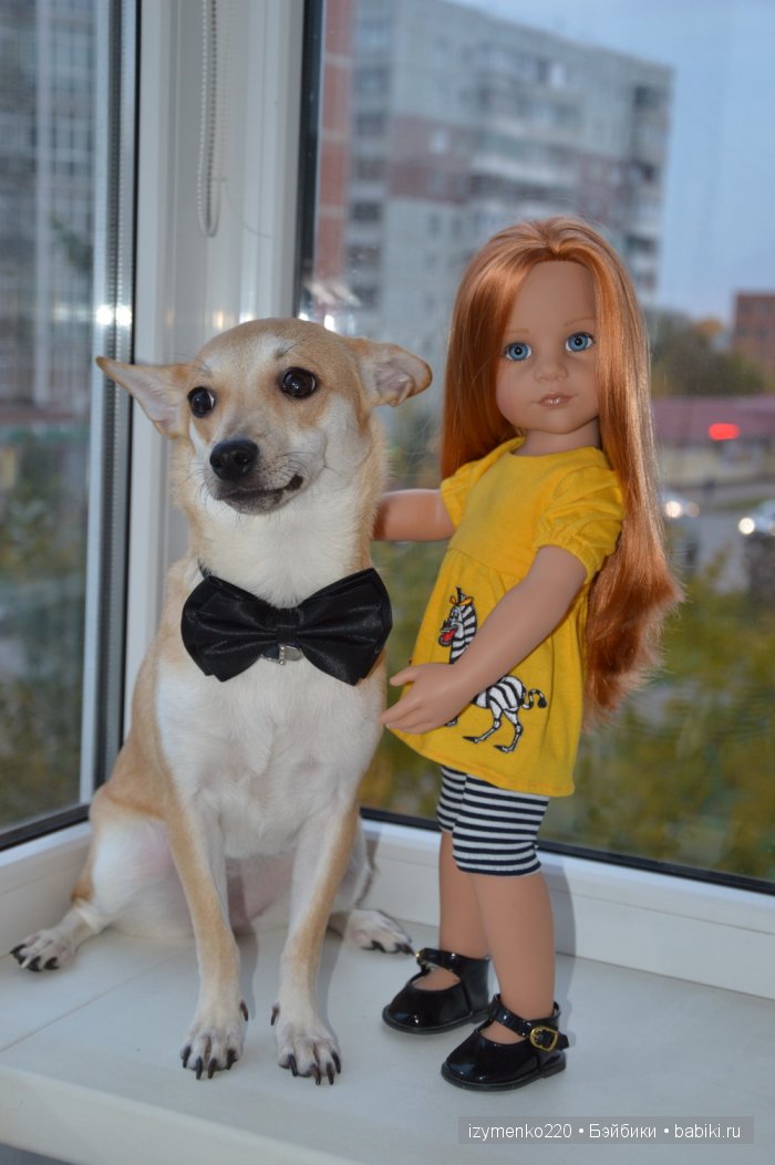 У меня живет щенок — Домашние коллекции кукол: фото собраний