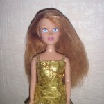 Мои куклы Simba и Witch Чародейки