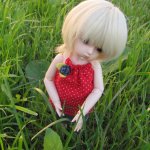 Моя девочка Tiny Ray спешит познакомиться с Вами