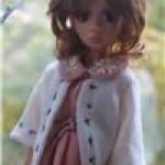 Осень на окошке...