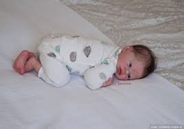 Тело с каркасом у реборна. Это тискательно (фото 4)