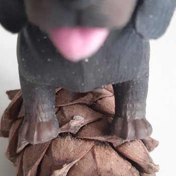 Карл и нечто