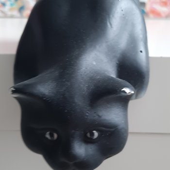 Антонина,  осторожнее