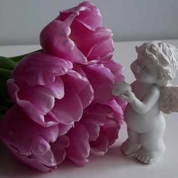 Почему цветы умирают   😪😪😪 (грустное)