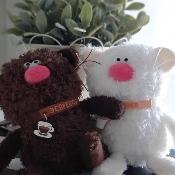 Кухонные коты, ой.. кофейные 🐈‍⬛ или твикс