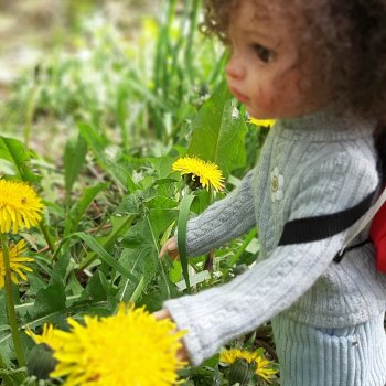 Райя в поисках вербы 🌿🏵