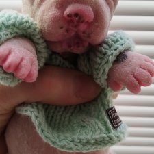 Милый полностью силиконовый щенок 🐾