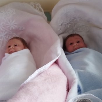 Королевская двойня 🍼