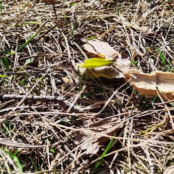 Райя и весна 🌱🌱🌱