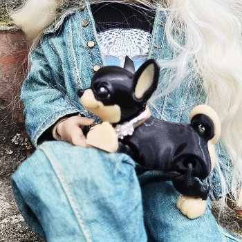 Прогулка с мадмуазель Коко 🦮🦮🦮