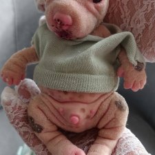 Силиконовый щеночек 🐶