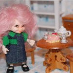 Домик для Селены