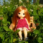 Хорошо на даче отдыхать! PukiFee Icis, Fairyland