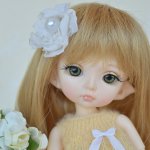 Моя новенькая PukiFee Zoe