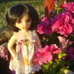 Наши малышки (худжио и Литлфи Луна)