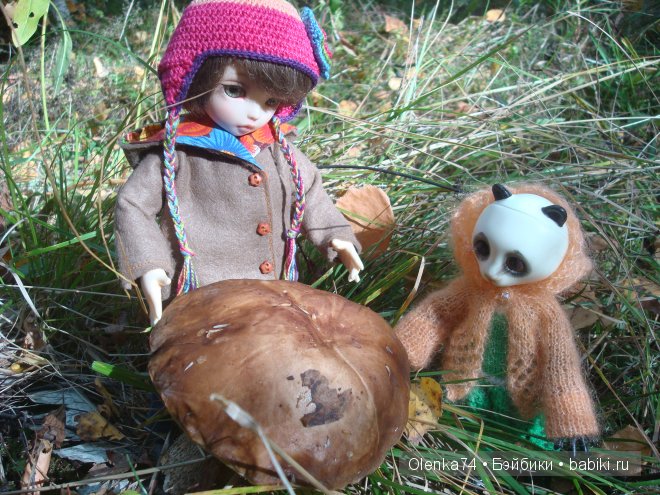 Осенняя пора — Куклы Fairyland (ФэйриЛэнд): BJD (БЖД) (фото 2)