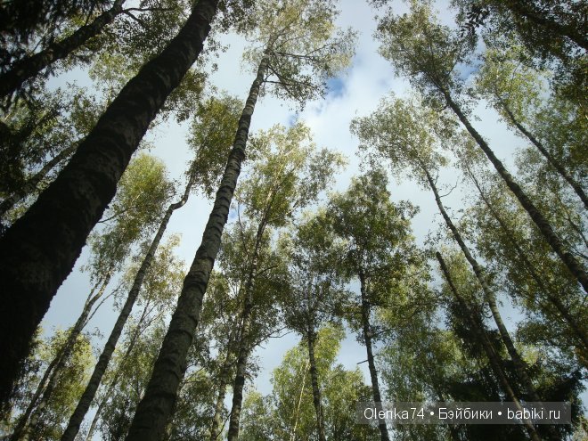 Осенняя пора — Куклы Fairyland (ФэйриЛэнд): BJD (БЖД)