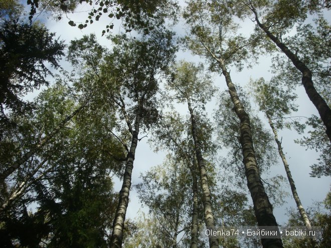 Осенняя пора — Куклы Fairyland (ФэйриЛэнд): BJD (БЖД)