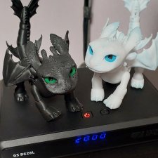 Пара драконов