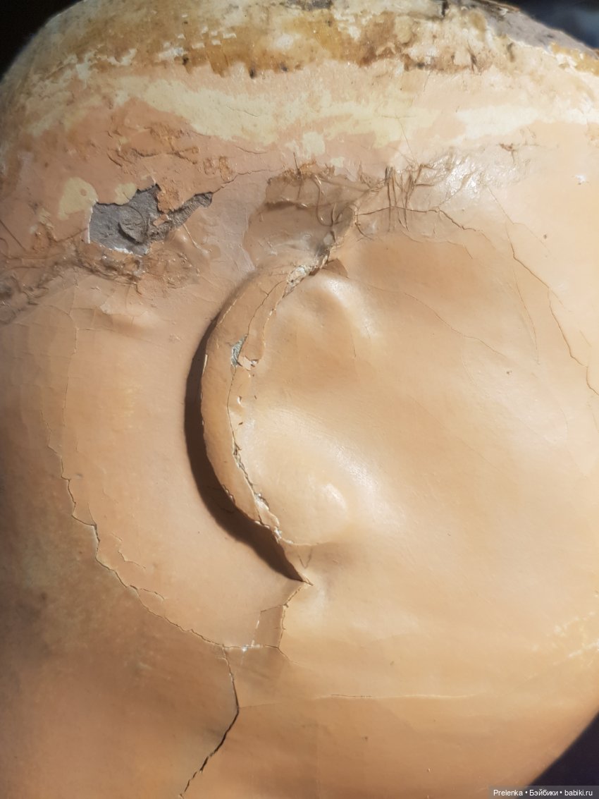 Рассказ о пяти спасенышах и просьба о помощи. №1 (фото 4)