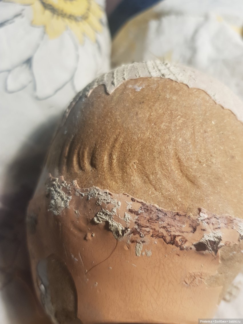 Рассказ о пяти спасенышах и просьба о помощи. №2 (фото 4)