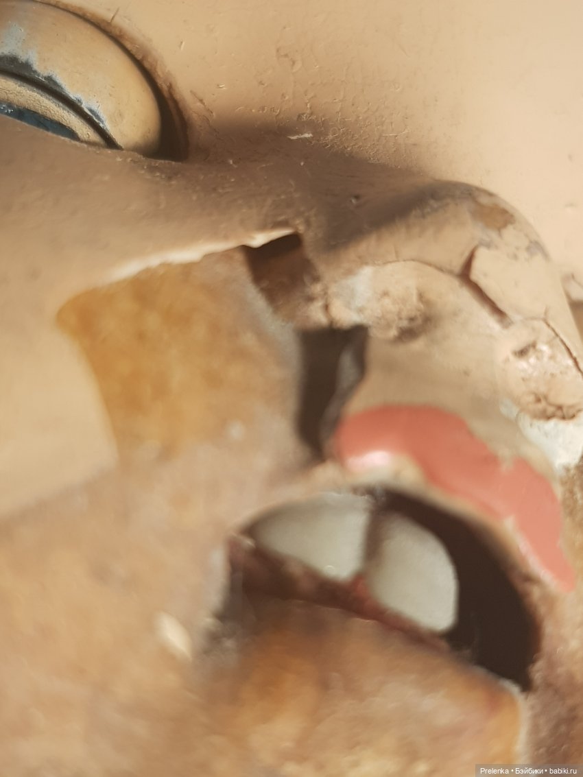 Рассказ о пяти спасенышах и просьба о помощи. №2 (фото 2)