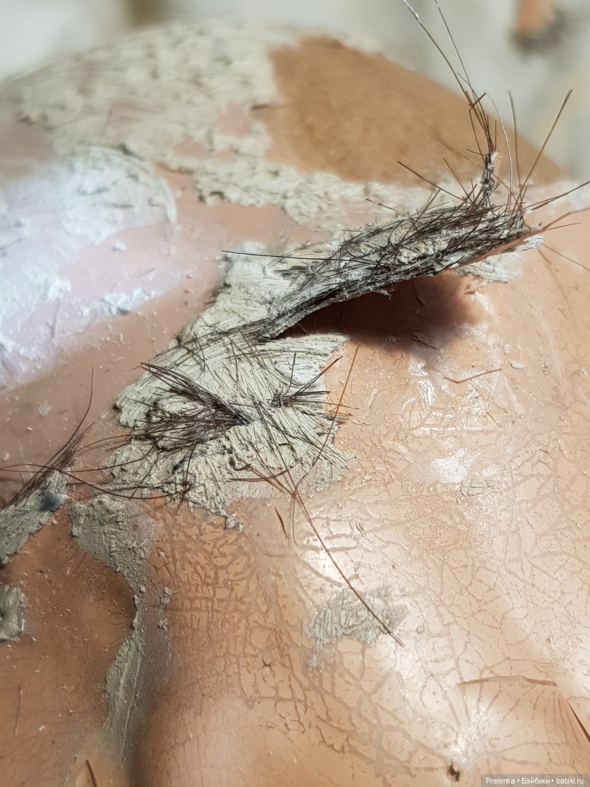 Рассказ о пяти спасенышах и просьба о помощи. №2 (фото 3)