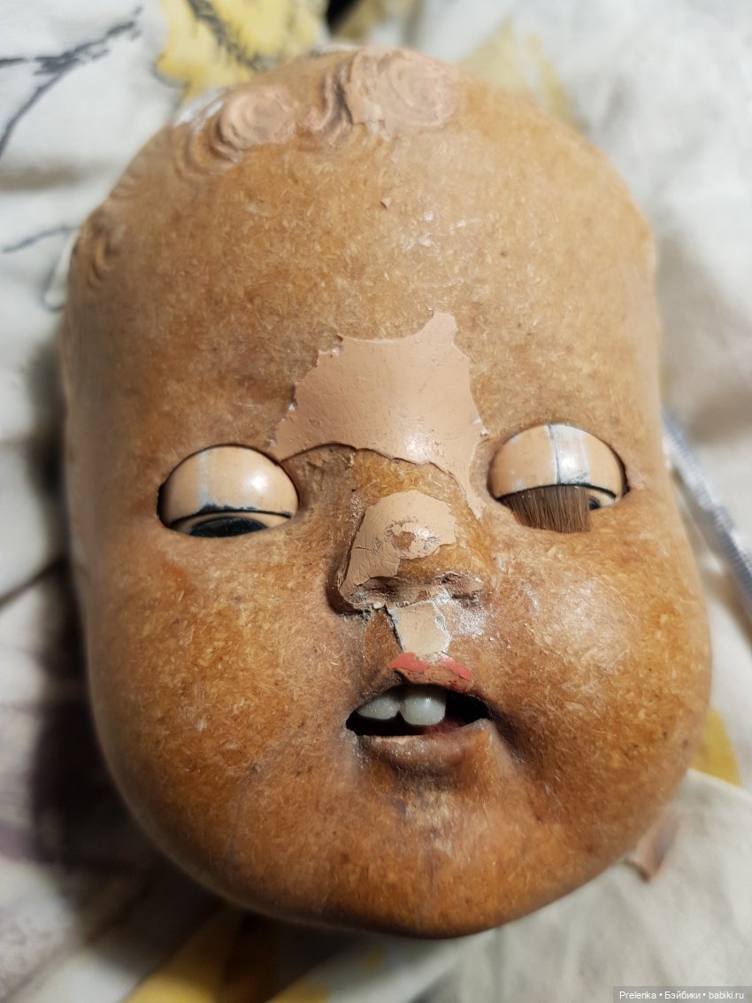 Рассказ о пяти спасенышах и просьба о помощи. №2 (фото 5)