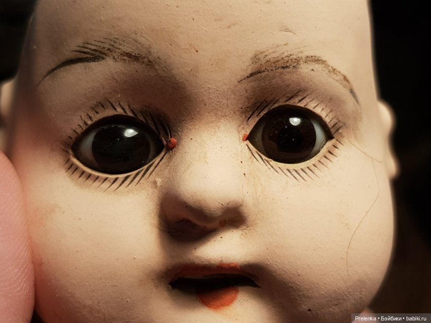 Рассказ о пяти спасенышах и просьба о помощи. №5 (фото 3)