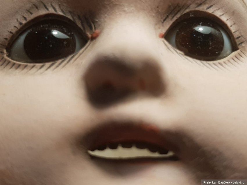 Рассказ о пяти спасенышах и просьба о помощи. №5 (фото 8)