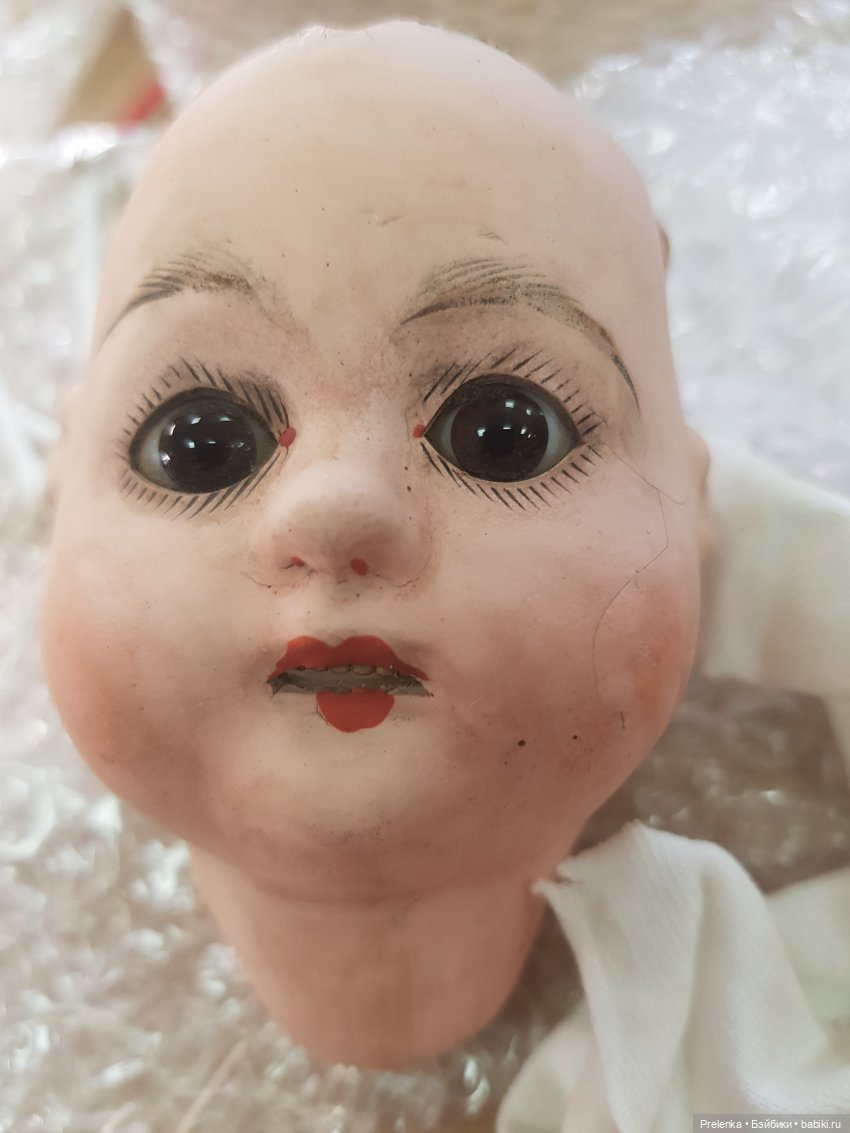 Рассказ о пяти спасенышах и просьба о помощи. №5 (фото 2)