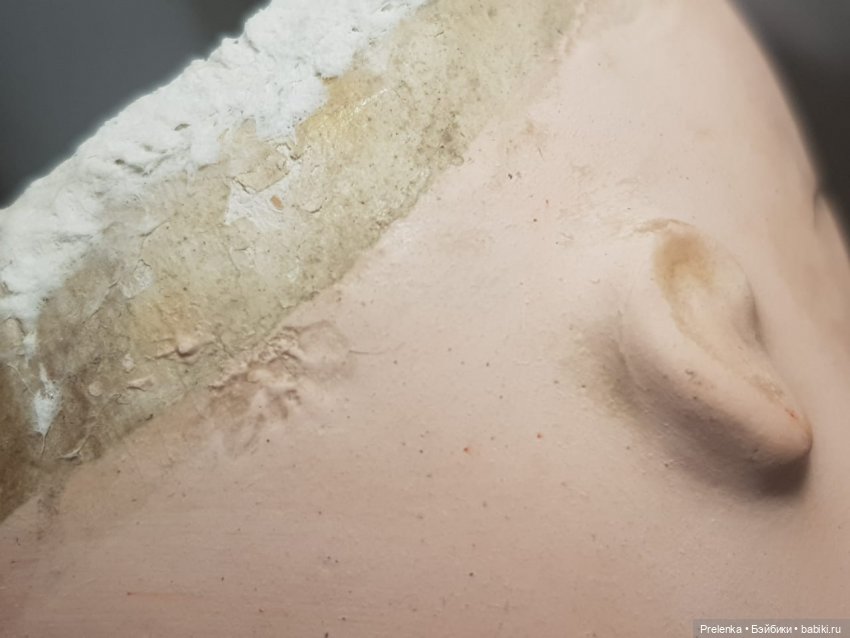 Рассказ о пяти спасенышах и просьба о помощи. №5 (фото 5)