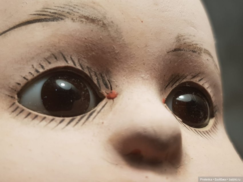 Рассказ о пяти спасенышах и просьба о помощи. №5 (фото 6)