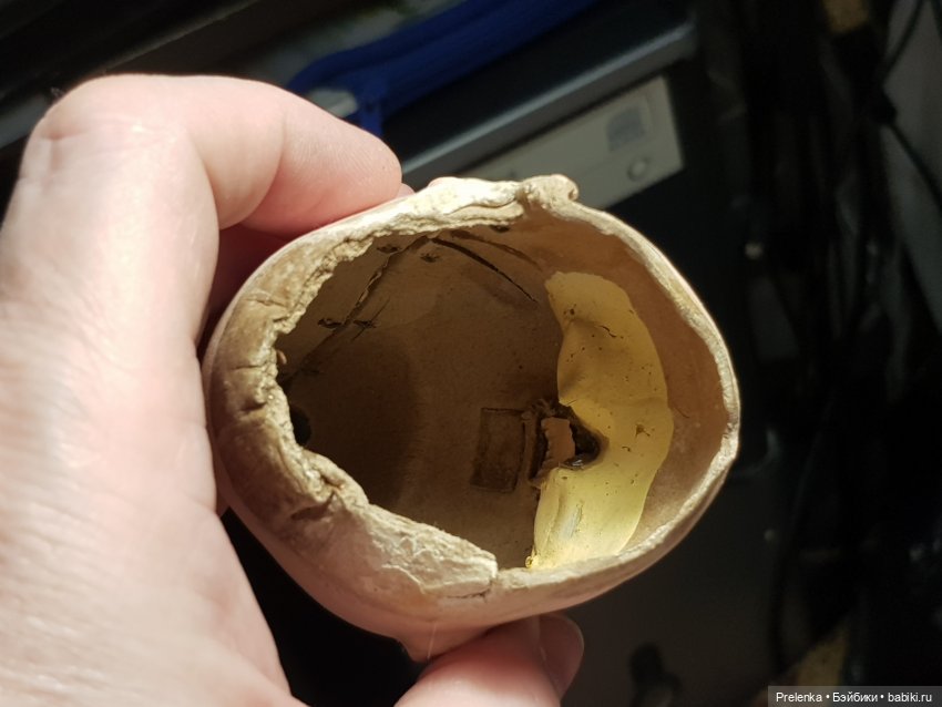 Рассказ о пяти спасенышах и просьба о помощи. №5 (фото 7)