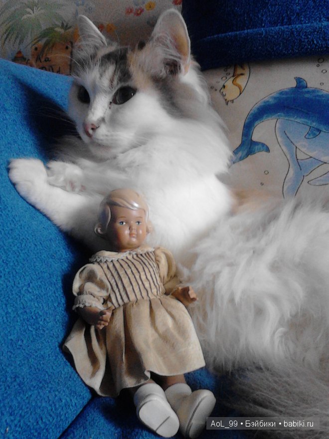 Моя новая немочка — Реплики кукол Schildkrot (Шильдкрет): тортулон