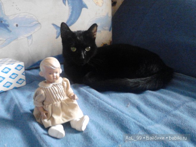 Моя новая немочка — Реплики кукол Schildkrot (Шильдкрет): тортулон