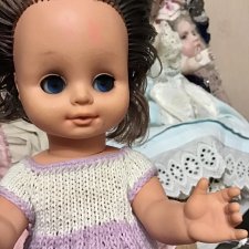 Хрупкая незабудка. Нужна помощь в опознании