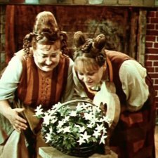 Охота пуще неволи  или как я нашла свои  подснежники