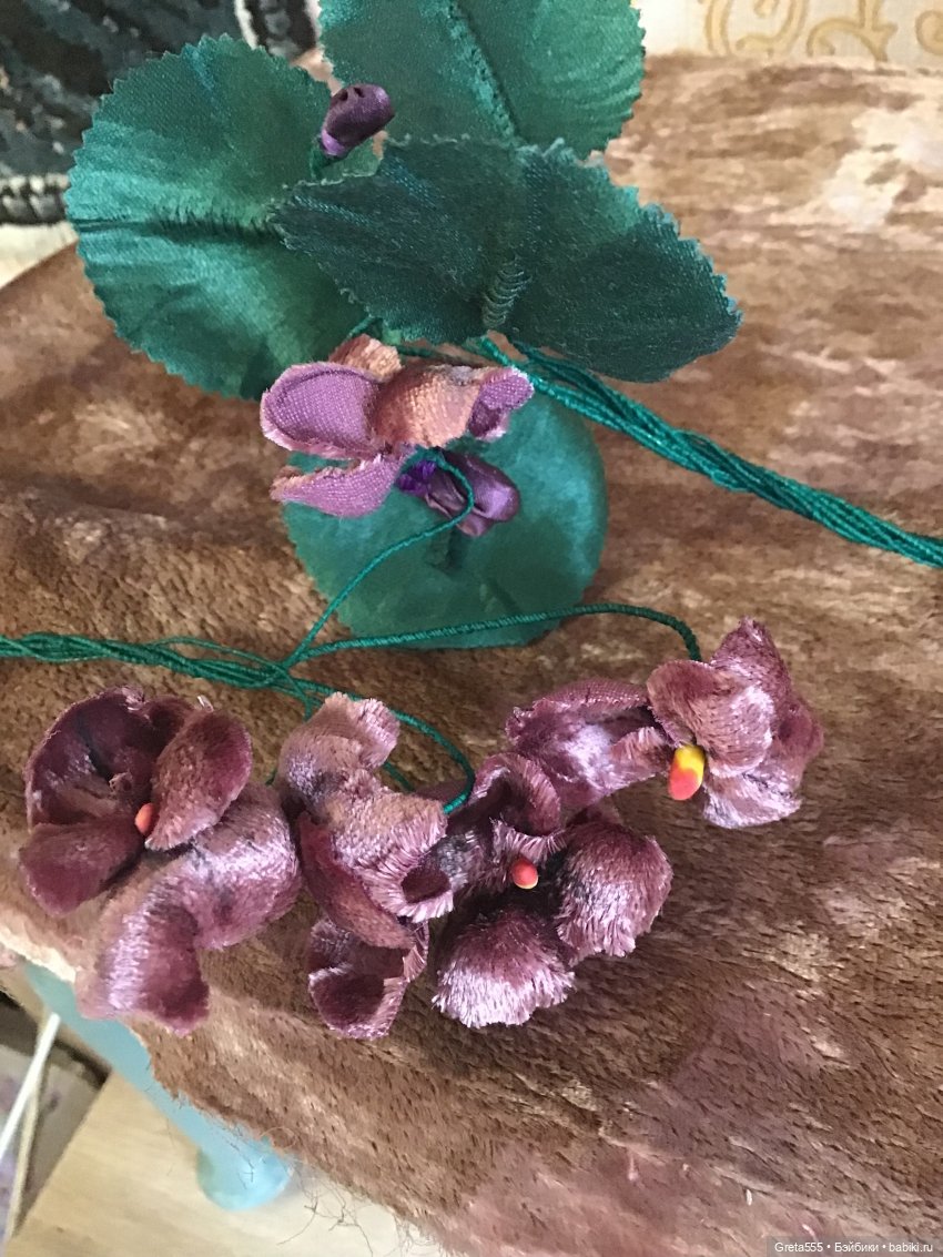 Фиалки из прошлого или « Купите фиалки !»