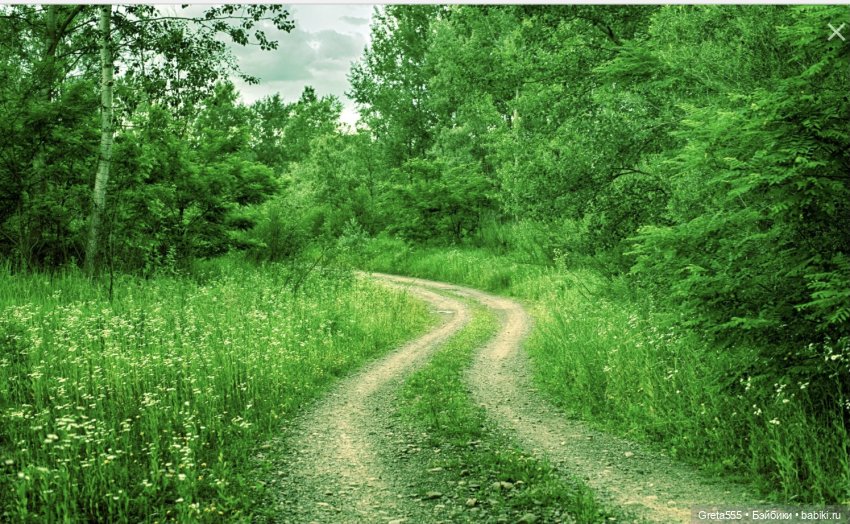 « Колдовской автограф мая «… мой майский бонет | Бэйбики « Колдовской автограф мая «… мой майский бонет