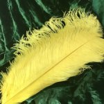 Очень красивые перья страуса , лимонный цвет