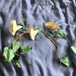 Старинная большая бутоньерка в виде веточки вьюнка