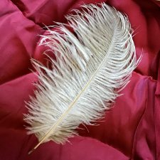 Шикарное перо страуса премиального качества , бежевое , для кукольного декора