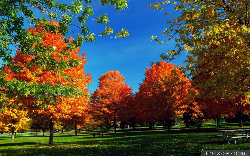 Разноцветная роспись Сентября. Kidz'n'Cats